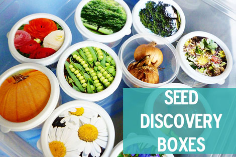 Seed boxes