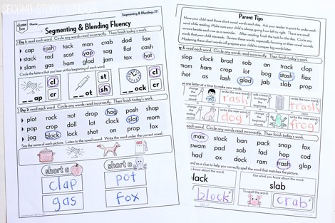 Beginning Fluency: Segmenting & Blending (for students mastering nonsense word fluency)