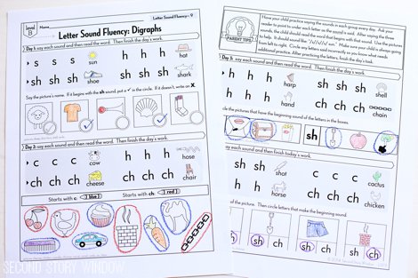 Beginning Fluency: Letter Sound Fluency