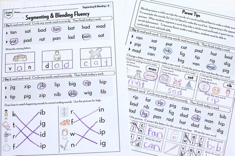 Beginning Fluency: Segmenting & Blending (for students mastering nonsense word fluency)