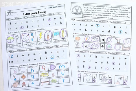 Beginning Fluency: Letter Sound Fluency (LSF)