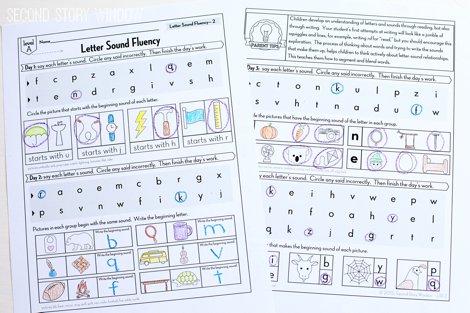 Beginning Fluency: Letter Sound Fluency