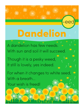 Dandelion - eed Word Family Poem of the Week - Long Vowel E Fluency Poem - Image 2