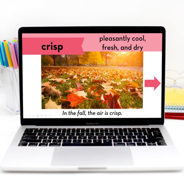 The Gingerbread Man Loose in the School Vocabulary | Read Aloud Lesson and Activities - Image 4