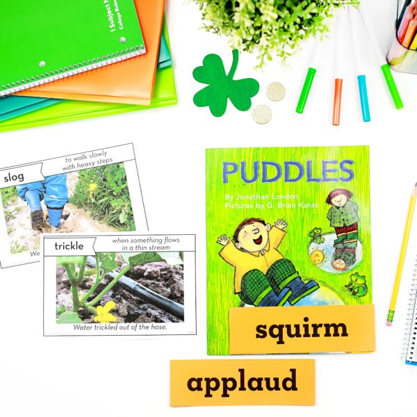 Puddles Vocabulary - Image 2