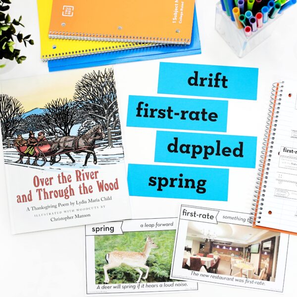 Thanksgiving Vocabulary Bundle | November Read Aloud Lessons and Activities - Image 7
