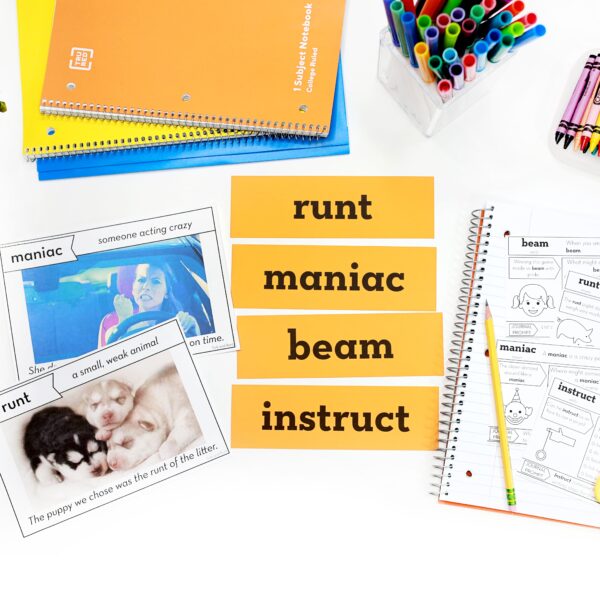 Turk and Runt Vocabulary | Thanksgiving Read Aloud Lesson and Activities - Image 3
